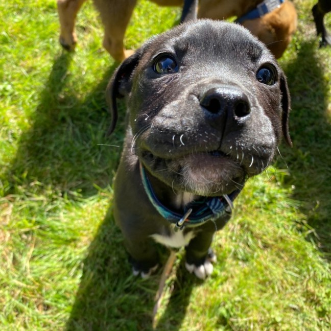 Photo of Penny Lane