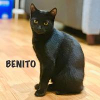 Photo of Benito & Maya