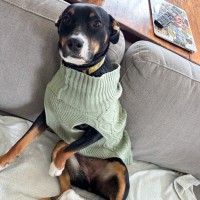 Photo of Cece