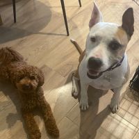 Photo of Holly