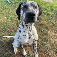 Photo of Clyde