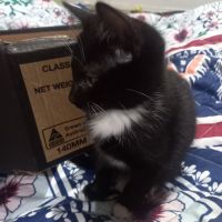 Photo of Perdita