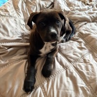 Photo of Roxy