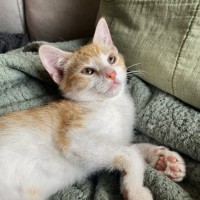 Photo of Mac & Marlow