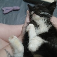 Photo of Fry & Leela 👾