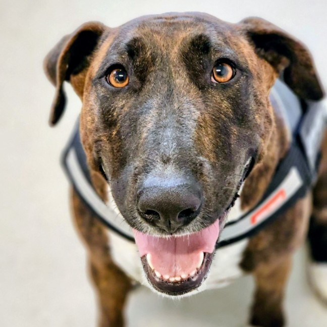 Photo of 🦆 Ducky 6839 🦆