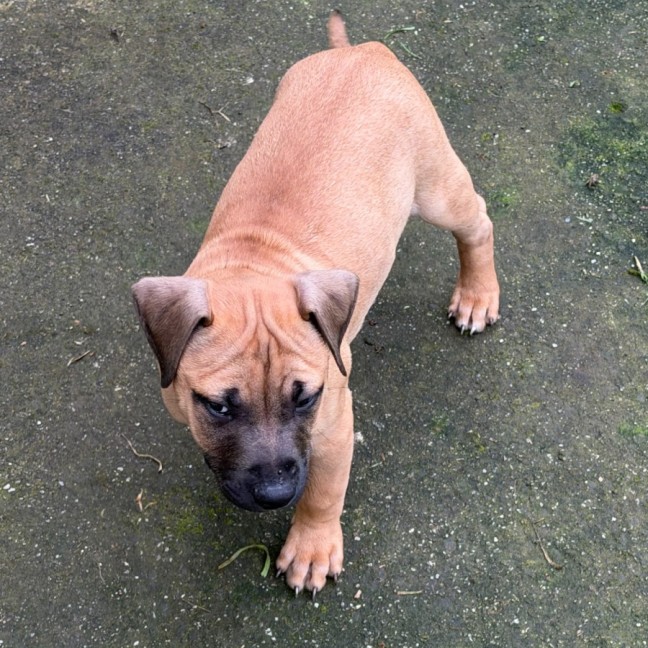 Photo of Fairlane