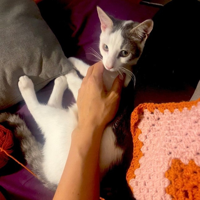 Photo of Toulouse