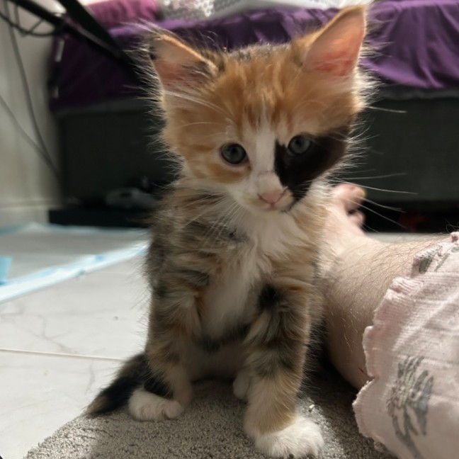 Photo of Leeloo
