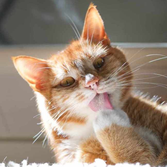 Photo of Finn & Percy