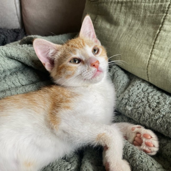 Photo of Mac & Marlow