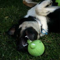Photo of Steve