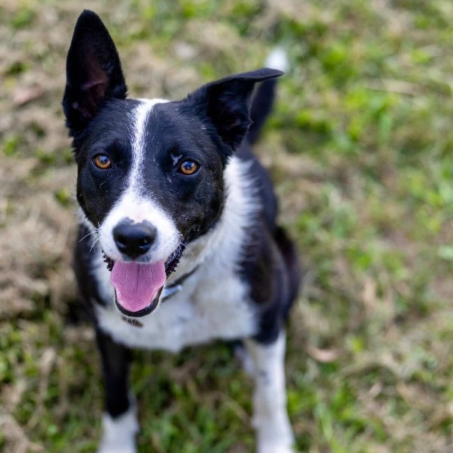 Photo of Bonnie