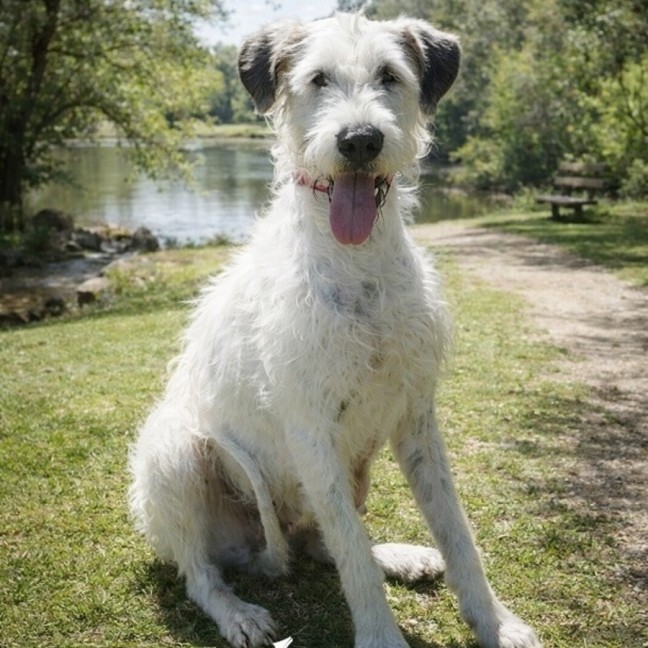 Photo of Izzy