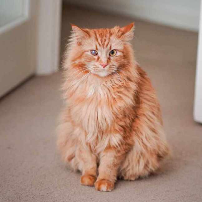 Photo of Finn & Percy