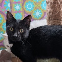 Photo of Elijah