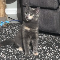 Photo of Miss Ivy May 🌱 