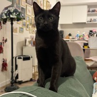 Photo of Hattie