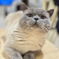 Photo of Sir Earl Grey