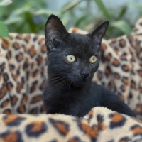 Photo of Axel 🥰🐾💙