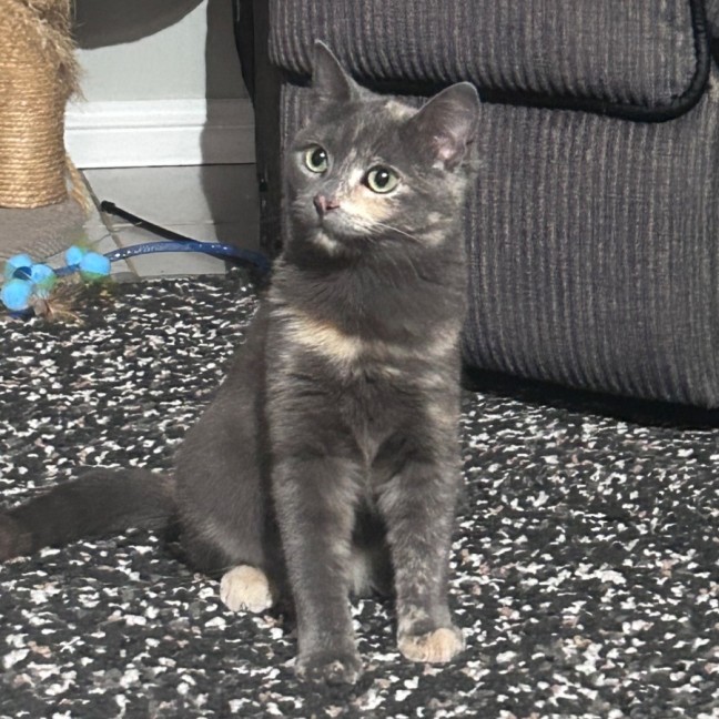 Photo of Miss Ivy May 🌱 
