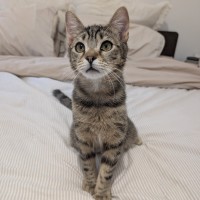 Photo of Cook
