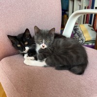 Photo of Dot & Dennis