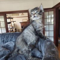 Photo of Ms Einstein
