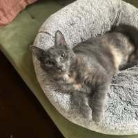 Photo of Chloe