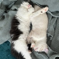 Photo of Pearl And Marble