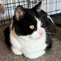 Photo of Felix   Can Transport To You