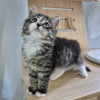 Photo of Casimir 💙