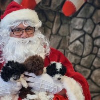 Photo of Harry Potter