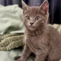 Photo of Gandalf And Florence