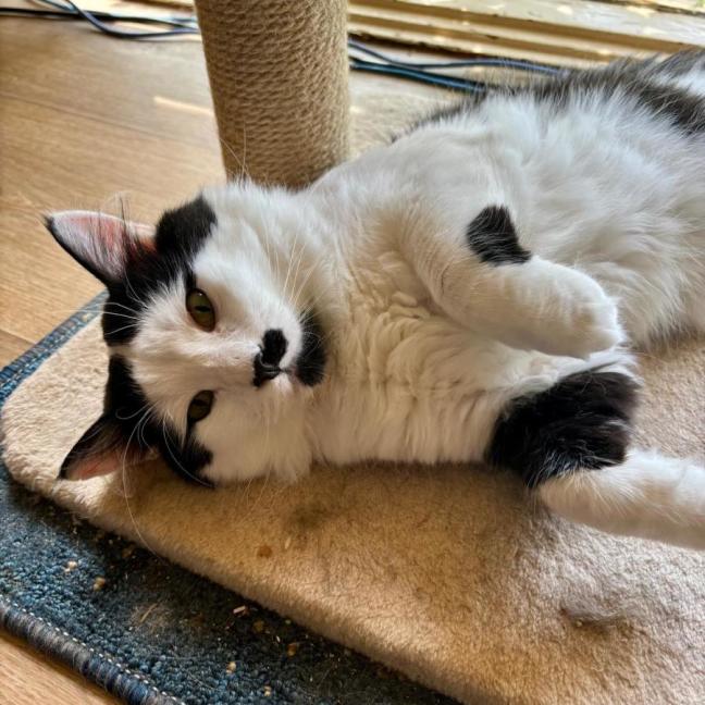 Photo of Dakota