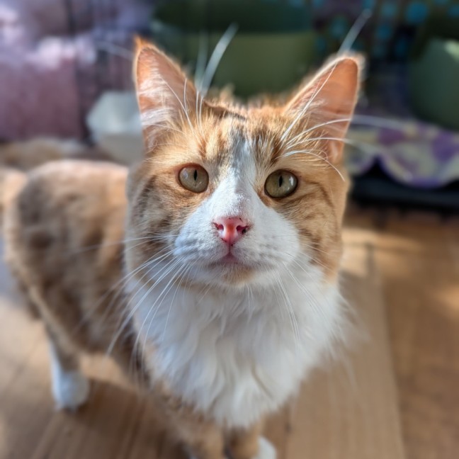 Photo of Mort