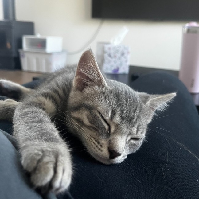 Photo of Tim