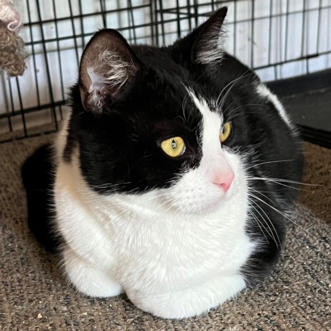 Photo of Felix   Can Transport To You