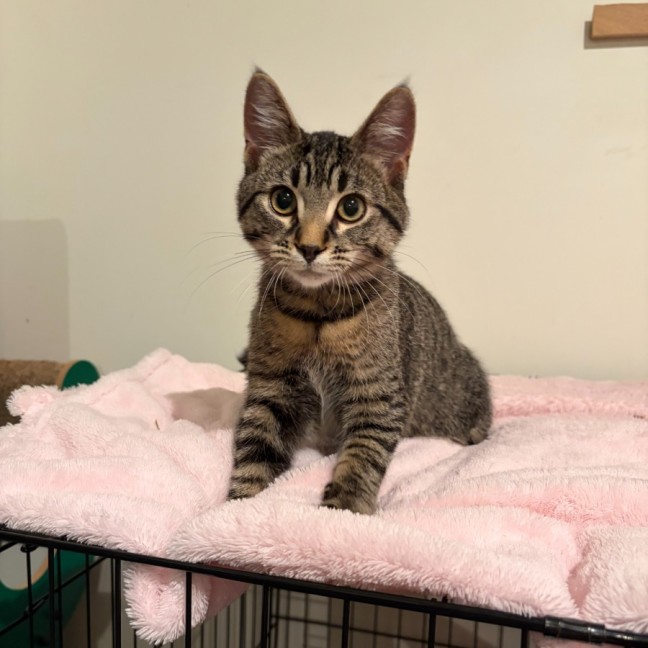 Photo of Friday & Woody