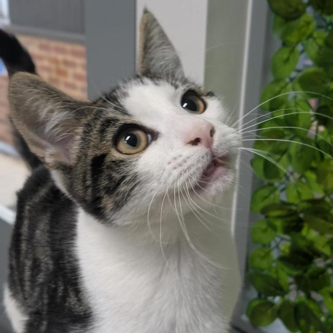 Photo of 🐒 Terrence 7015 🐒 