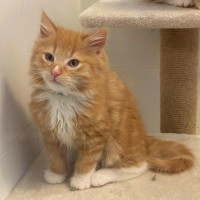 Photo of Sunshine ☀️