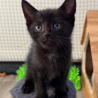 Photo of Wiley
