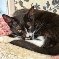 Photo of Mimi