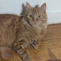 Photo of Genevieve & River