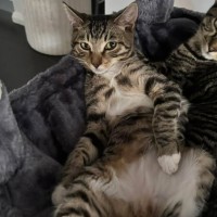 Photo of Taylor (Tay Tay)