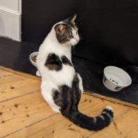 Photo of Mazzy