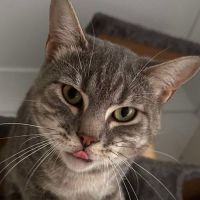 Photo of Leo