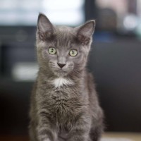 Photo of 🤍 Smokey 🤍