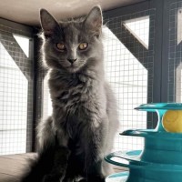 Photo of 💖 Billie 💖