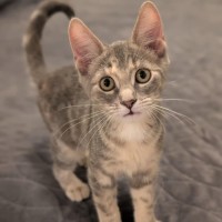 Photo of Elfie